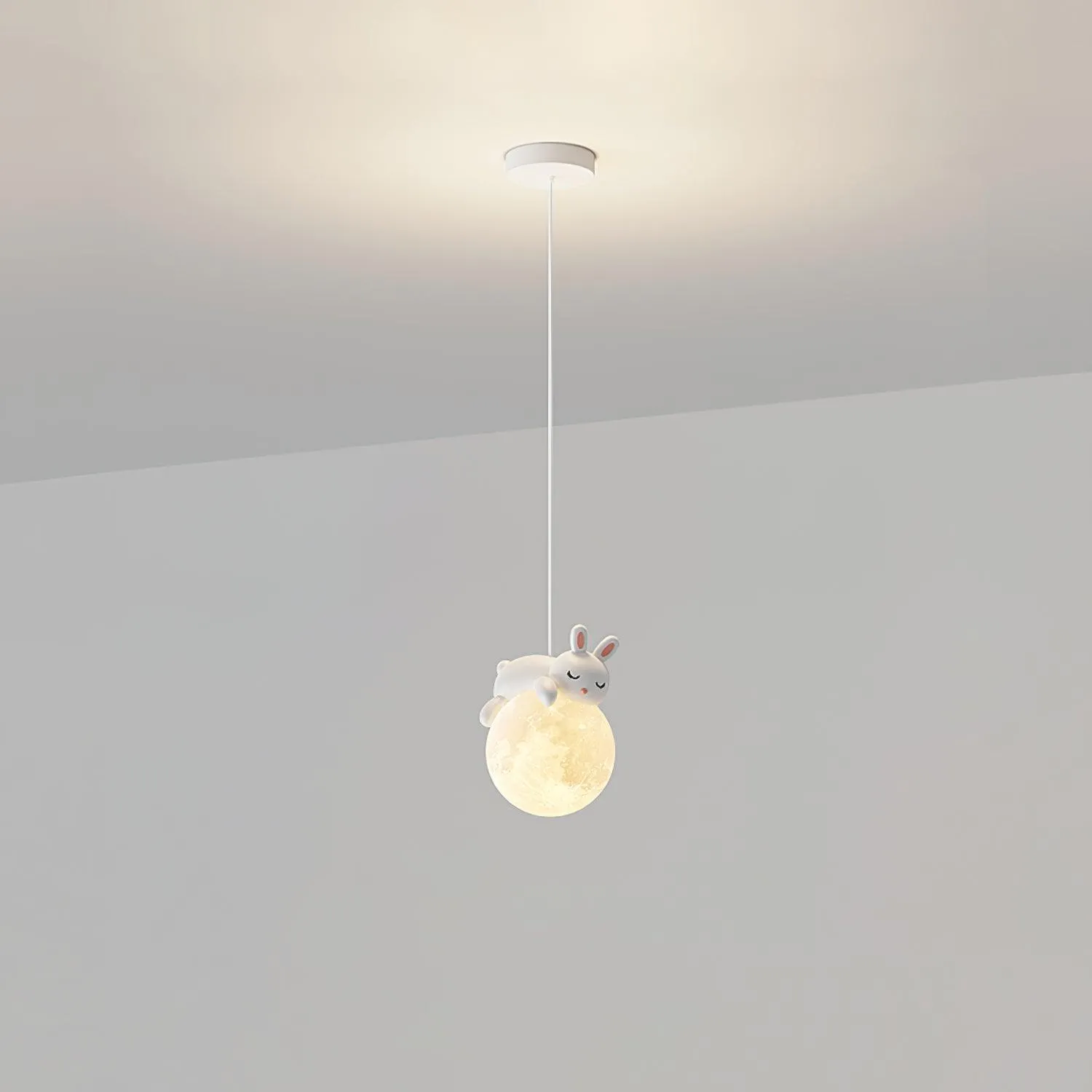 Animal Sleeping Pendant Lamp