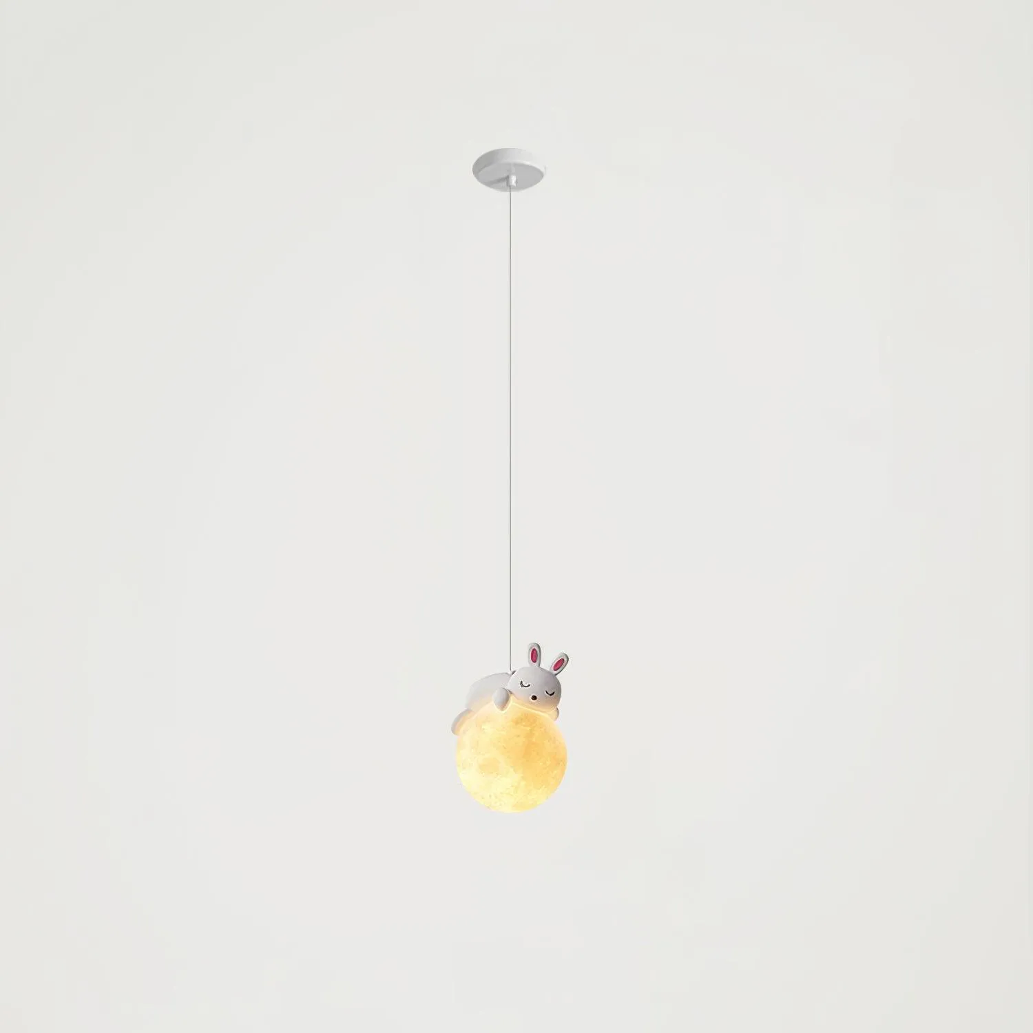 Animal Sleeping Pendant Lamp