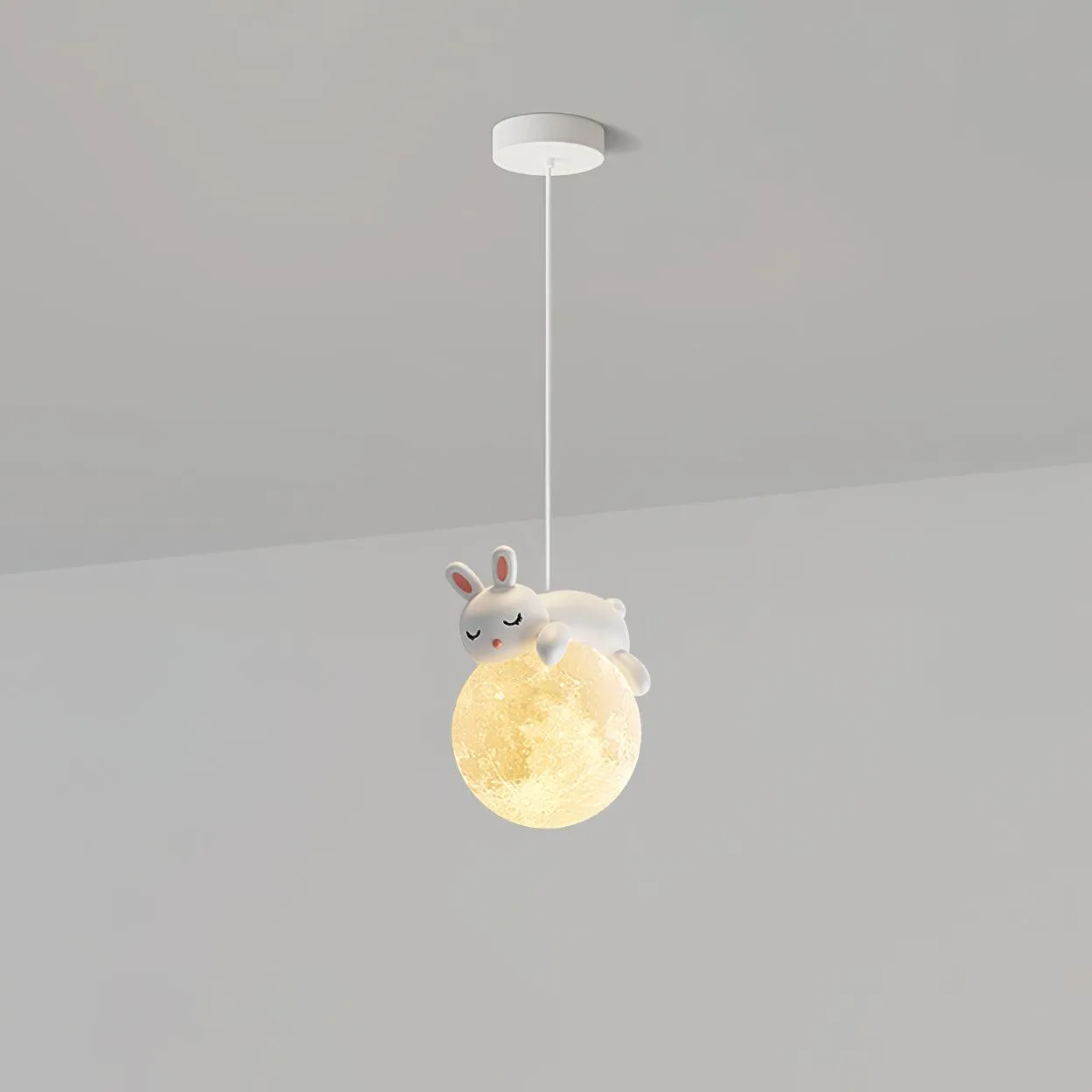 Animal Sleeping Pendant Lamp