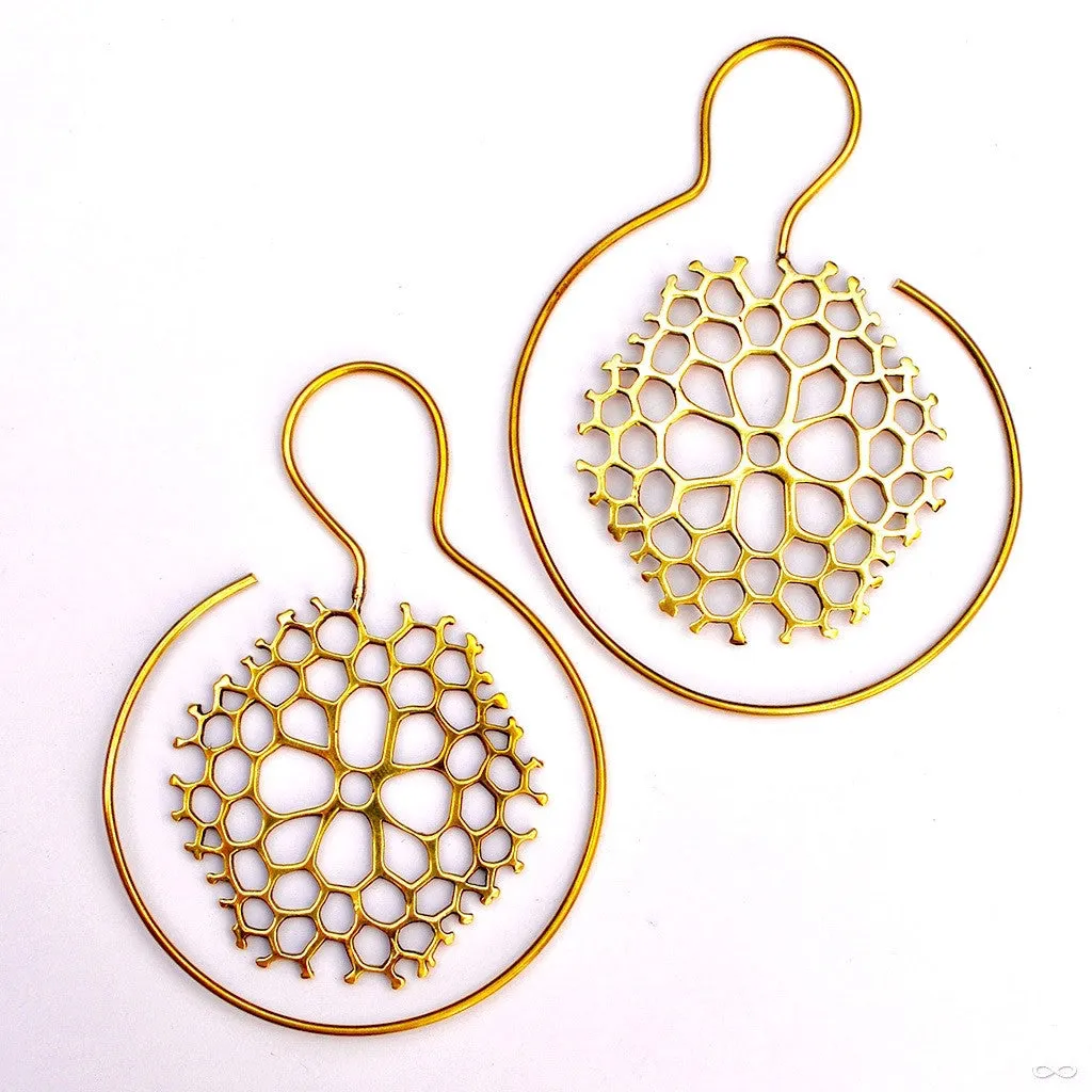 Coral Earrings from Eleven44