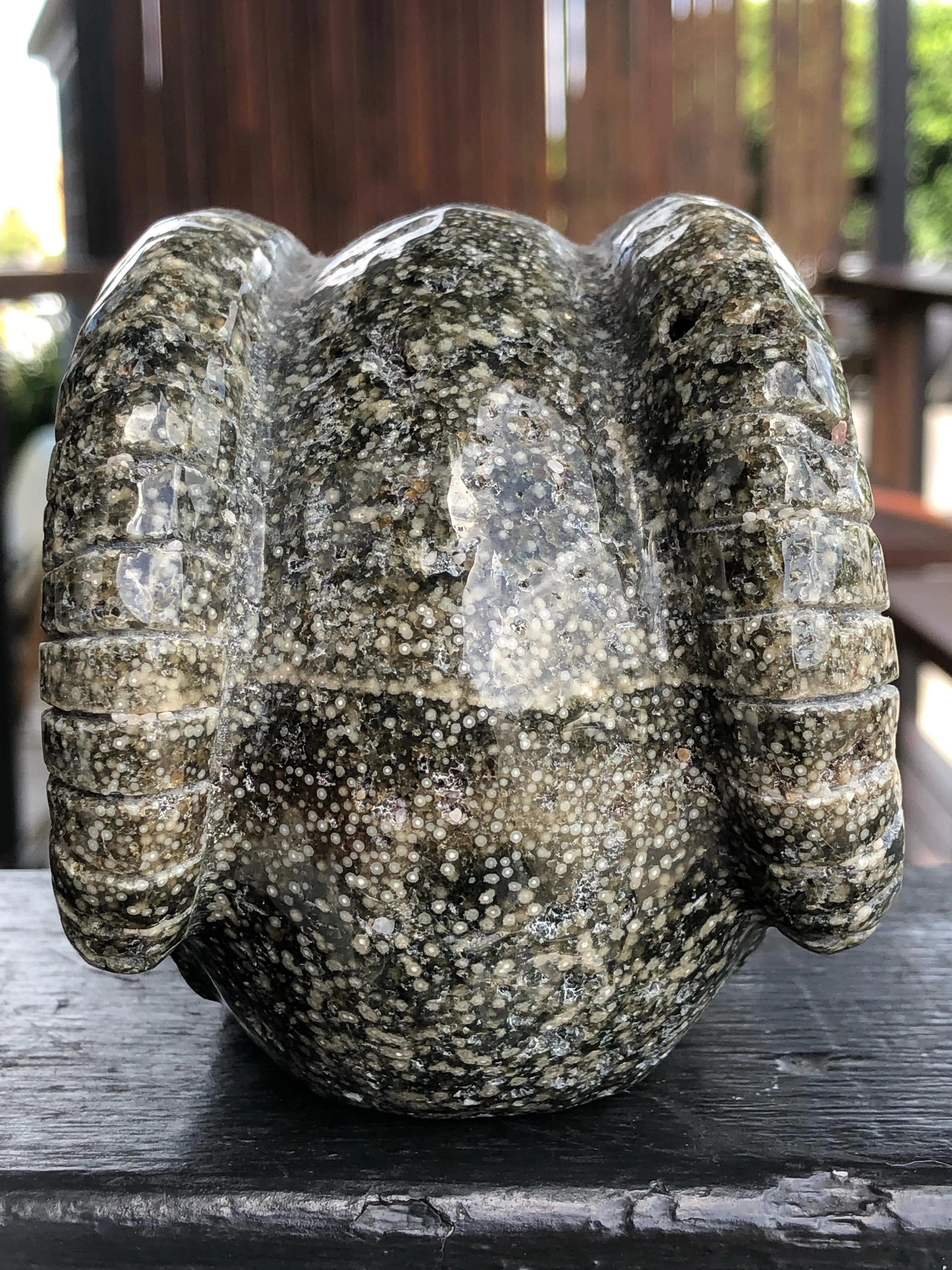 Ocean Japer Pan Skull [1k1184]