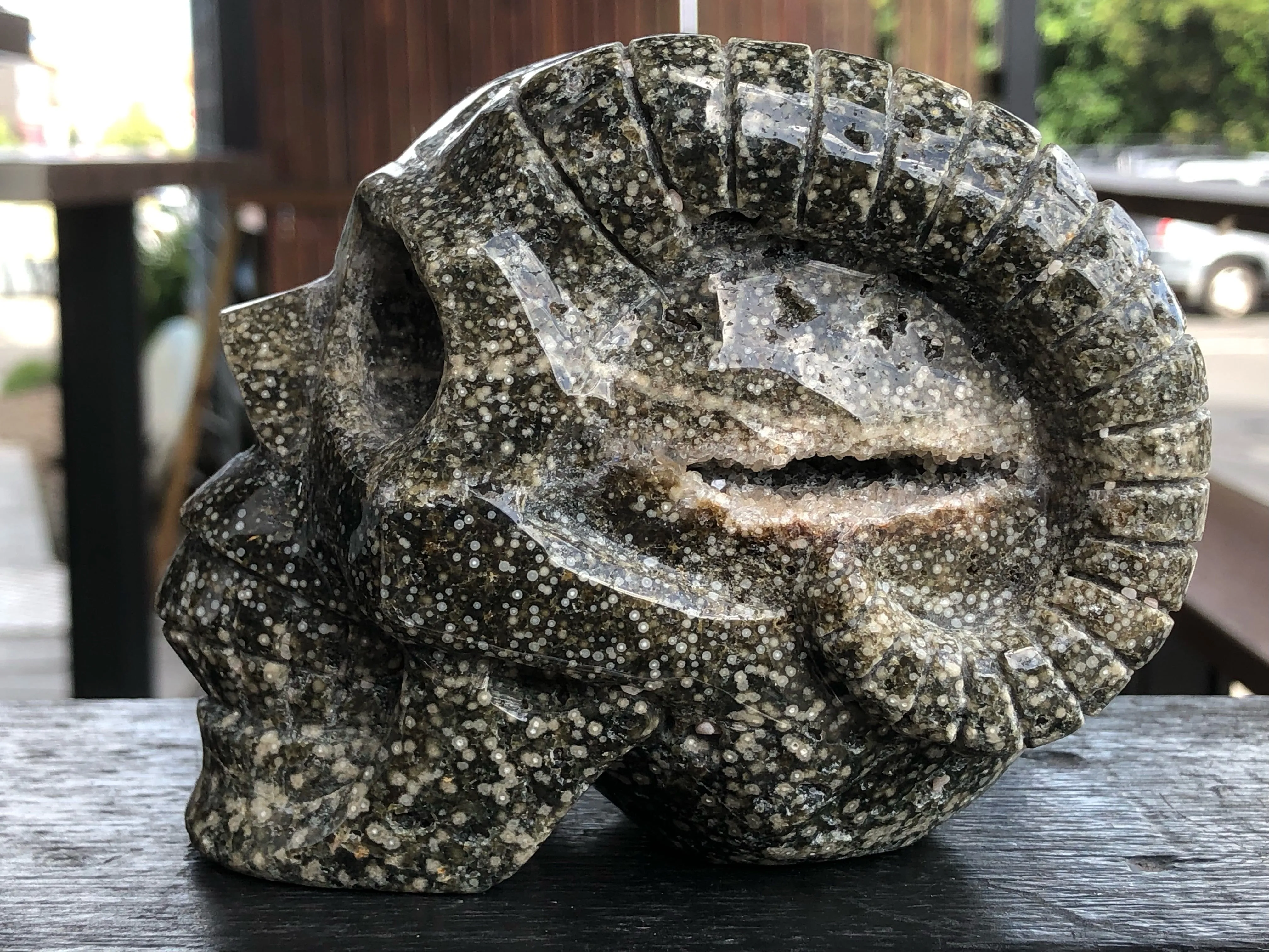 Ocean Japer Pan Skull [1k1184]